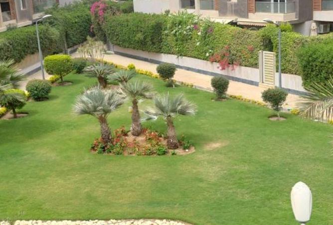 8717542 - صورة العقار 2