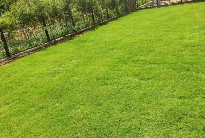 109636531 - صورة العقار 3