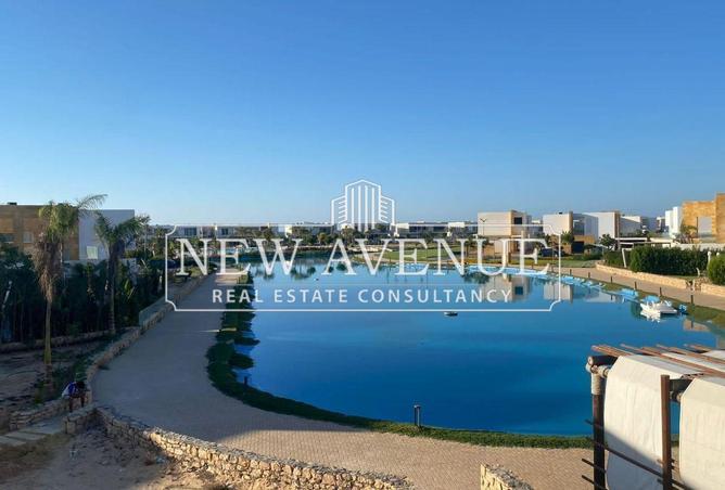 56500604 - Property Image 2