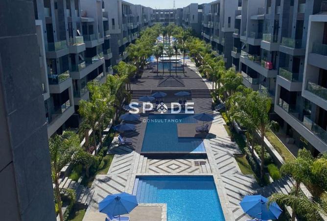 58740233 - Property Image 2