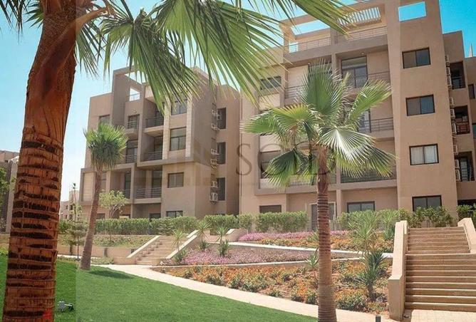 79988049 - صورة العقار 3