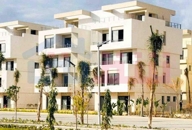 53470854 - Property Main Image