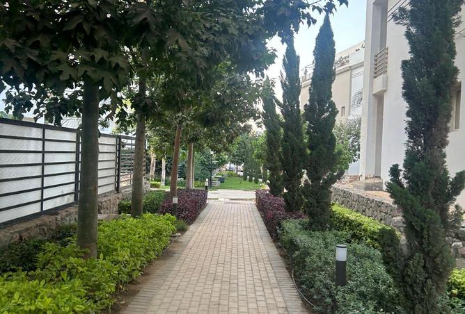 68002315 - صورة العقار 3