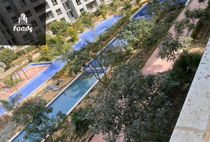 52448807 - صورة العقار 3