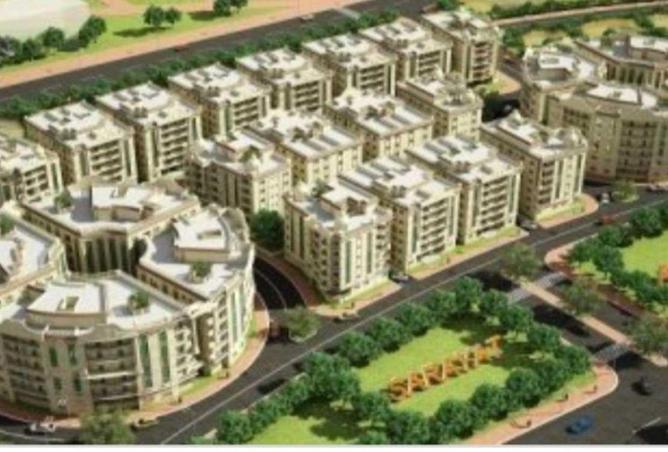 55750967 - Property Image 2