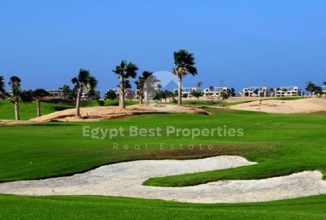 82102078 - Property Image 3