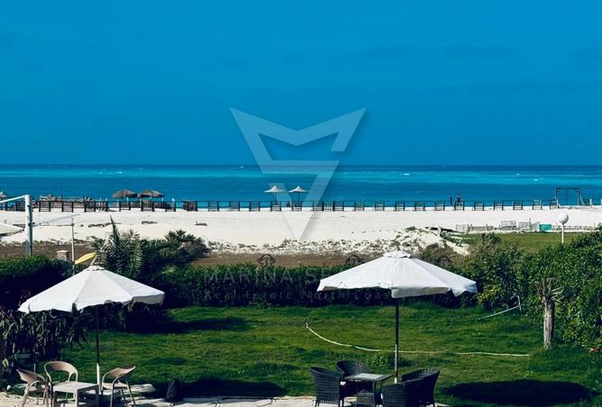 55000995 - Property Image 2