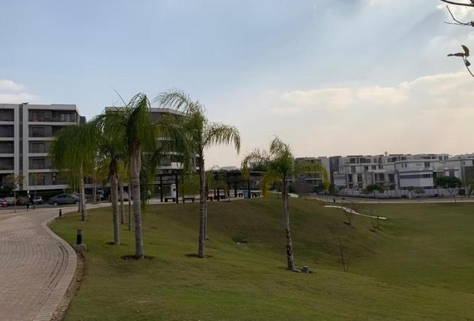 54751219 - Property Image 3