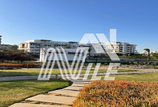 8507017 - صورة العقار 2