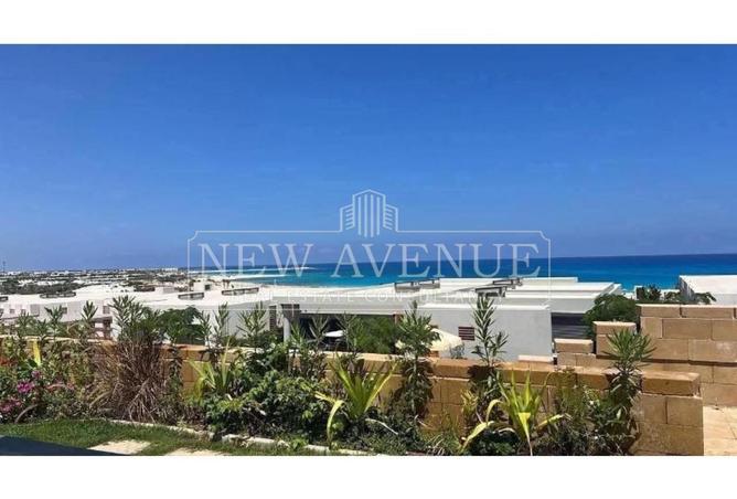 105163365 - Property Image 2