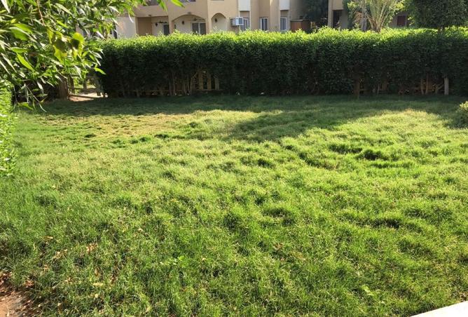 101488523 - Property Image 2