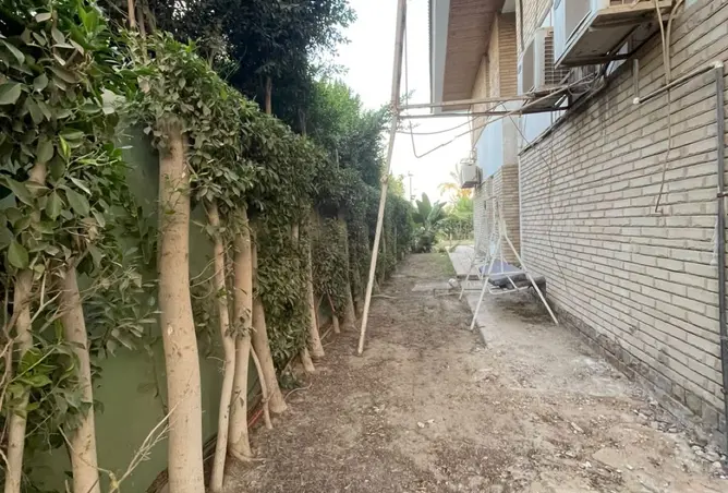 118537156 - صورة العقار 2
