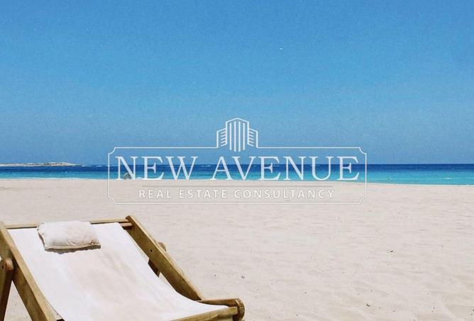 61203871 - Property Image 3