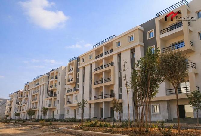 56240146 - Property Image 3