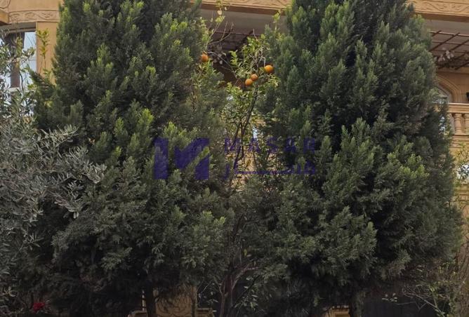 61448154 - صورة العقار 2