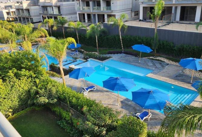 53979287 - صورة العقار 2