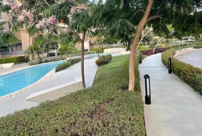 58245244 - Property Image 3