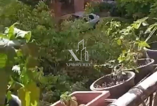 62166629 - صورة العقار 3