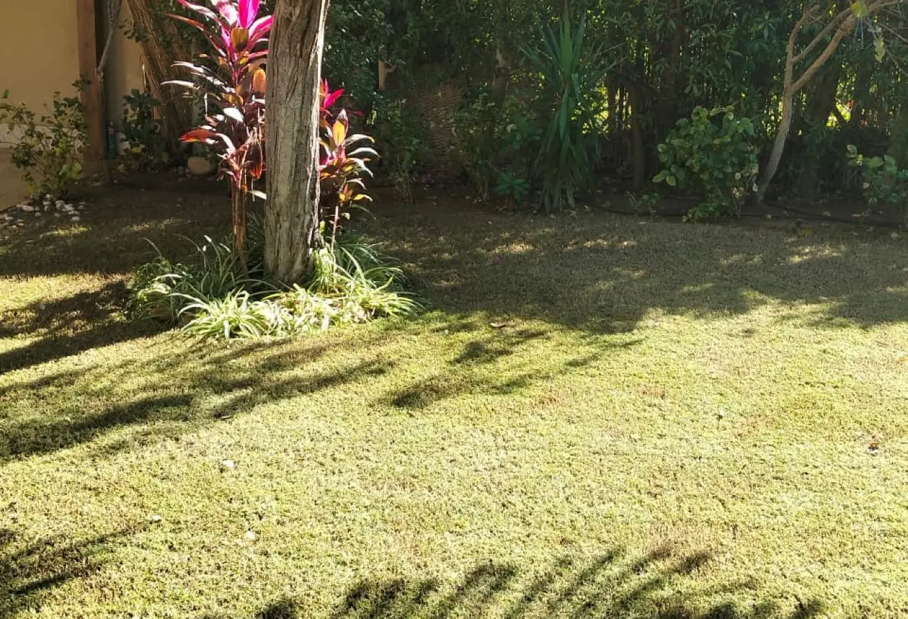 114621806 - Property Main Image