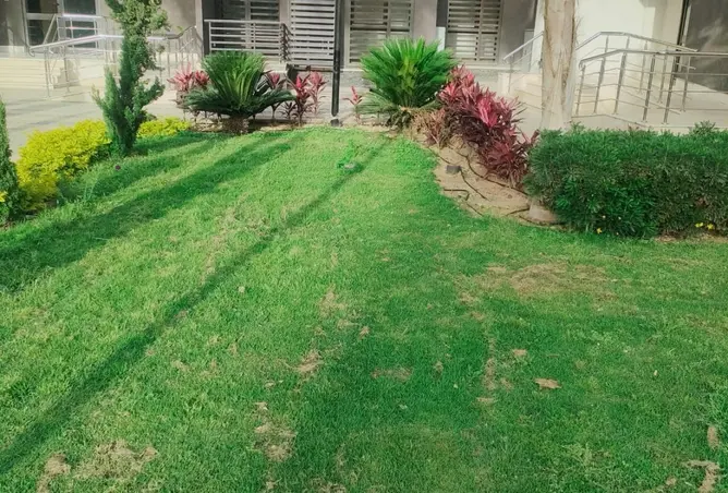 118808965 - صورة العقار 2