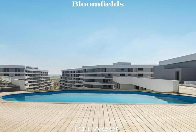 8572979 - Property Image 2