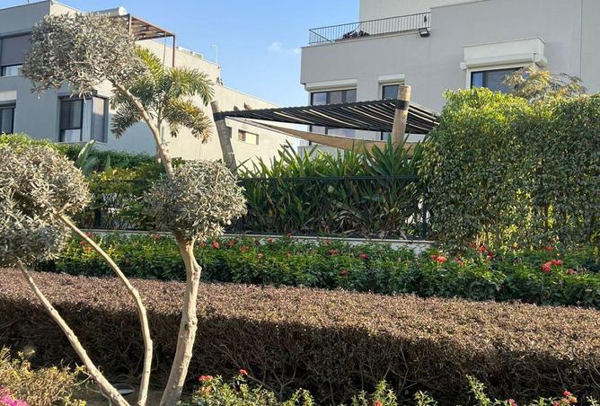 55500318 - Property Image 3