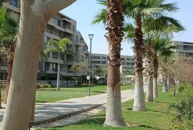 117789653 - صورة العقار 2