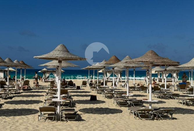 8536437 - صورة العقار 2