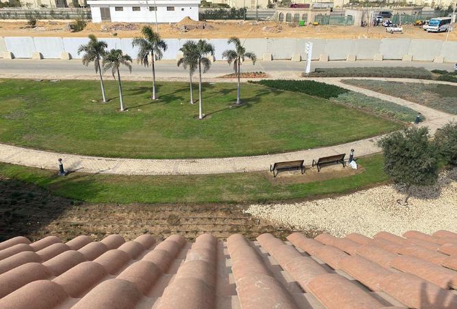 61192778 - صورة العقار 3