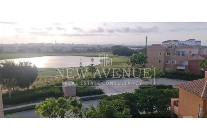 119338128 - Property Image 3