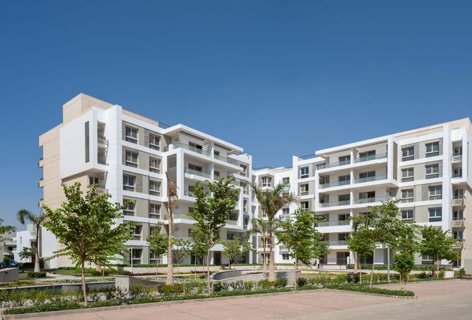 8520370 - Property Image 3