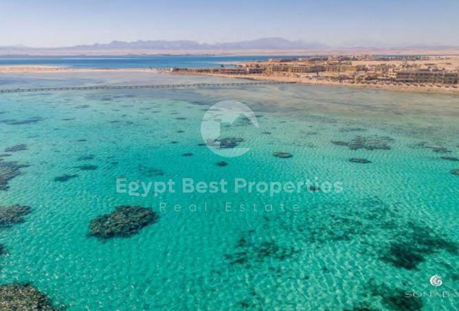 8633609 - Property Image 3