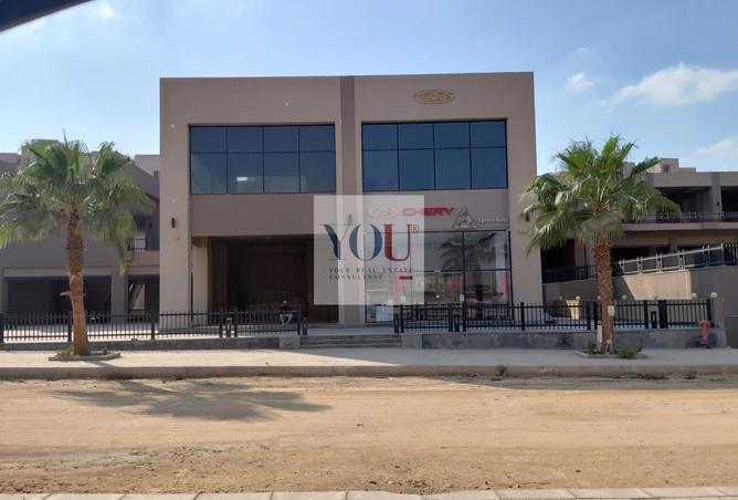 53732729 - Property Image 2