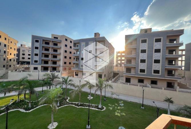 52725419 - Property Image 3