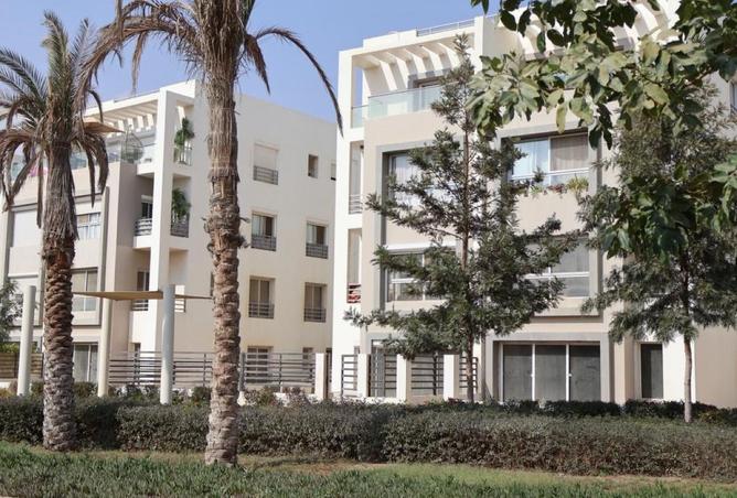 66438216 - Property Image 2