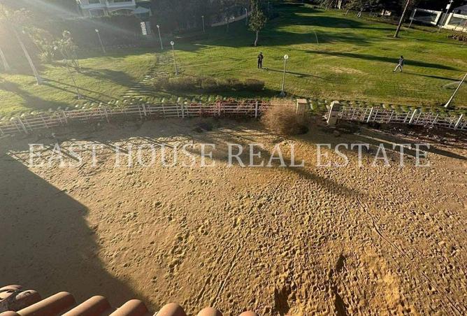 59752770 - صورة العقار 3