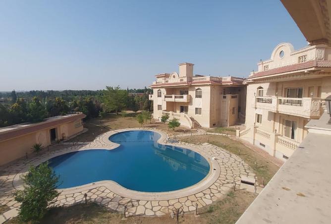 8662103 - Property Image 3