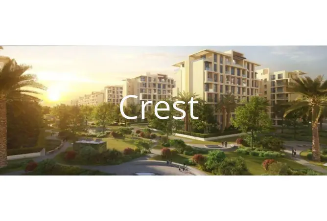 117264979 - Property Image 2