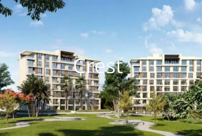 117264979 - Property Image 3