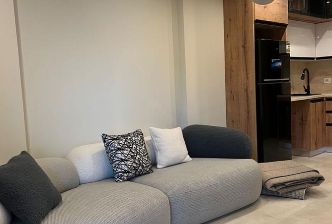 8447394 - Property Image 3