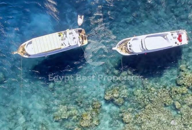 8661125 - الصورة الرئيسية للعقار