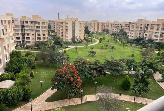 68263654 - صورة العقار 3