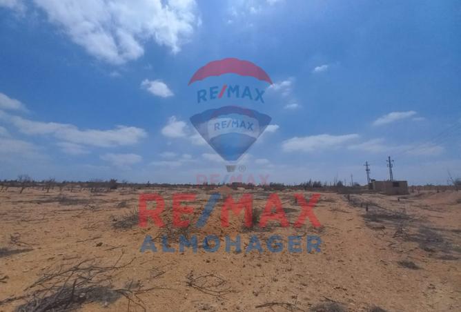 61441084 - صورة العقار 3