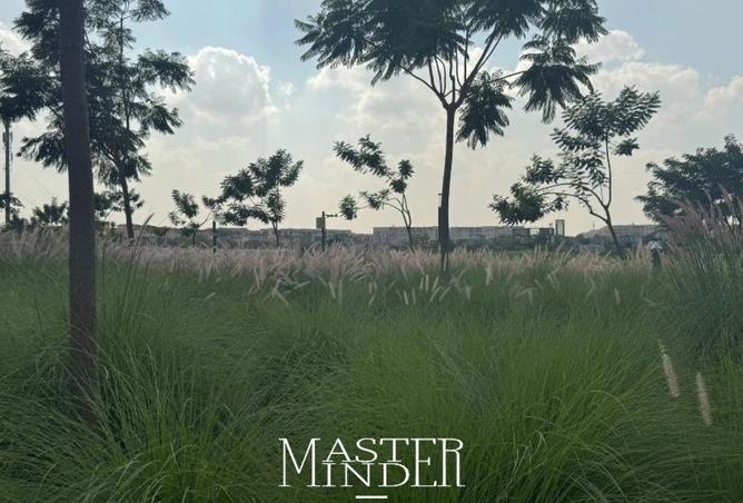 57993679 - صورة العقار 2