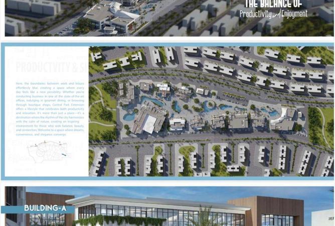 53978902 - Property Image 3