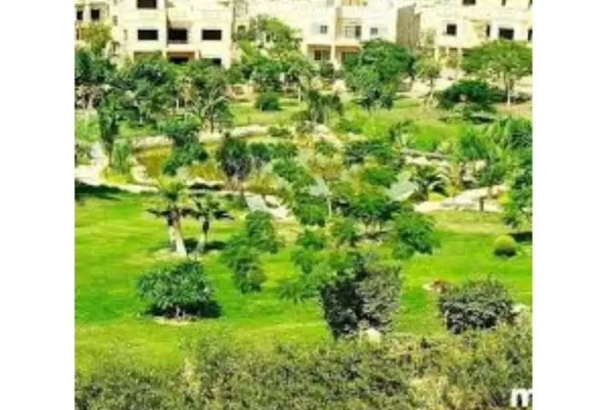 117540173 - صورة العقار 3