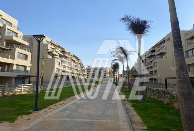 106577920 - Property Image 3