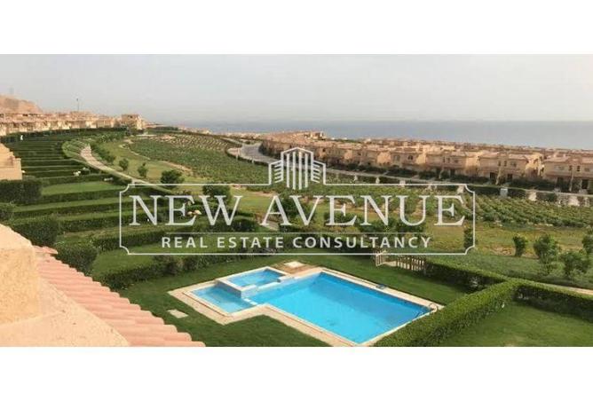 54747655 - صورة العقار 2