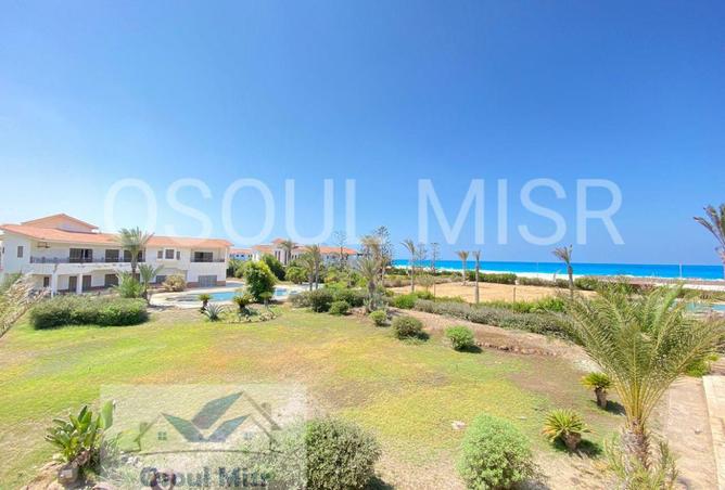 8712301 - Property Image 2