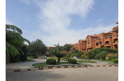 Apartment - 3 Bedrooms - 2 Bathrooms for rent in Green 3 - 2nd District - Sheikh Zayed City - Giza